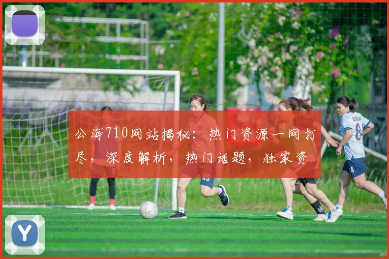 公海710网站揭秘：热门资源一网打尽，深度解析，热门话题，独家资讯，不容错过