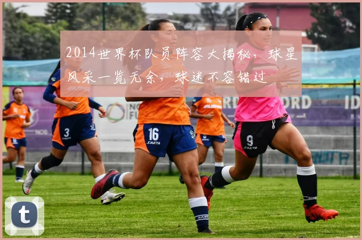 2014世界杯队员阵容大揭秘，球星风采一览无余，球迷不容错过