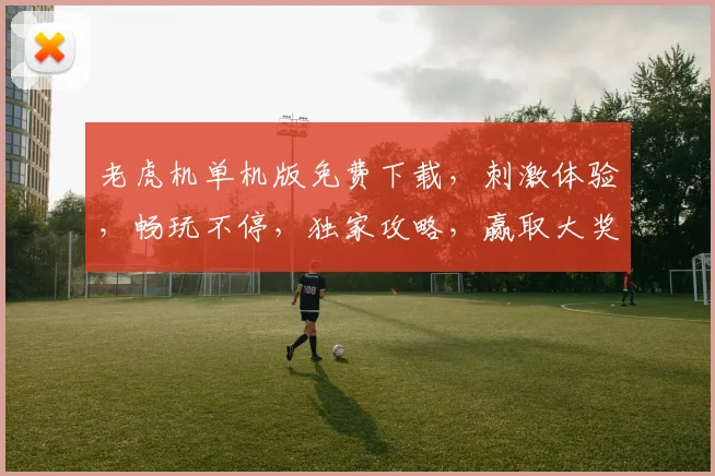 老虎机单机版免费下载，刺激体验，畅玩不停，独家攻略，赢取大奖，尽在掌握