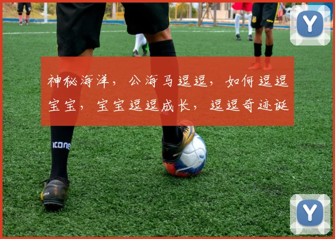 神秘海洋，公海马逗逗，如何逗逗宝宝，宝宝逗逗成长，逗逗奇迹诞生，逗逗自然奇观