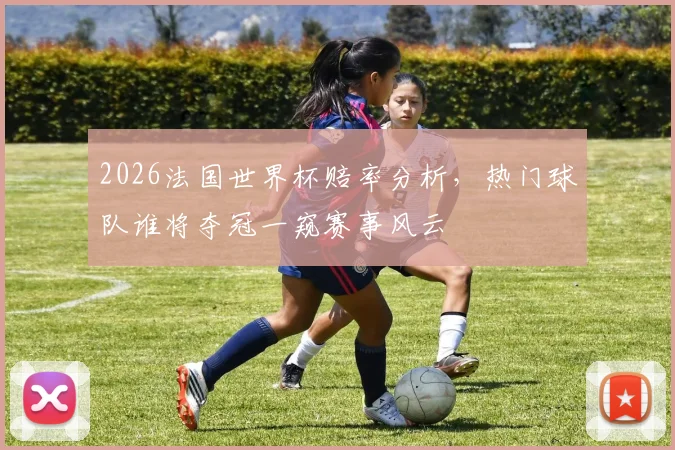 2026法国世界杯赔率分析，热门球队谁将夺冠一窥赛事风云